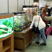 Výstava EXOTIKA 2015