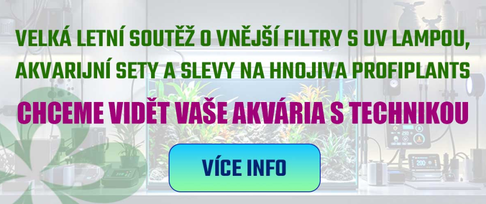 MOrx4TCOp4eP6ya1tJAI6mgjAzZRc0VCVJcV7dGJKOlQWRG33eJuSyhJXiSvg0lw6G0FM53C