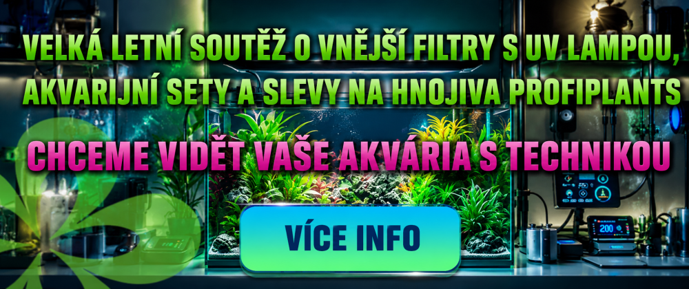 wrNHrOdVNRY2XA99GkpfzYsc0cHgPDm9USPmEPfr0pb7i63PpxT4GK5b0rCnJBY729RenBZqvzwjLJS1hPx2zK