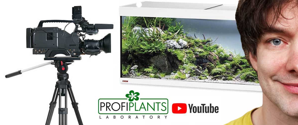 Profiplants akce
