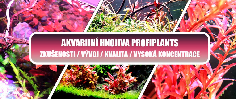 Profiplants akce