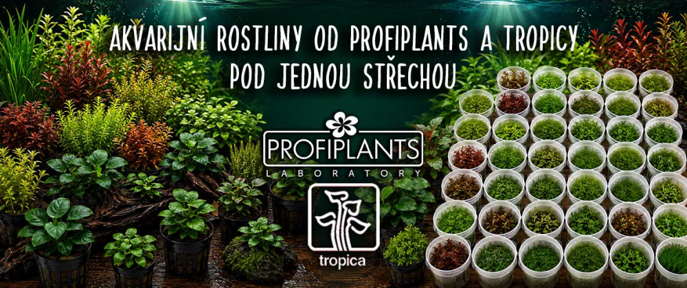 Profiplants akce