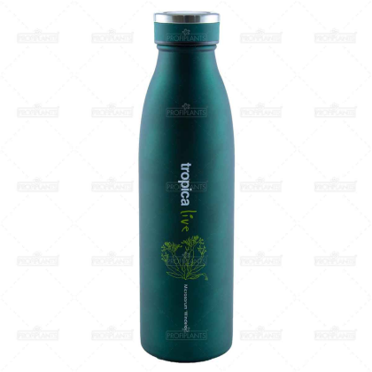 Tropica Live termoska na vodu Microsorum Windeløv