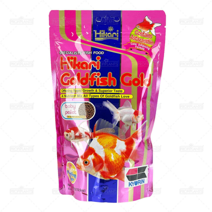 Hikari Goldfish gold baby 300g