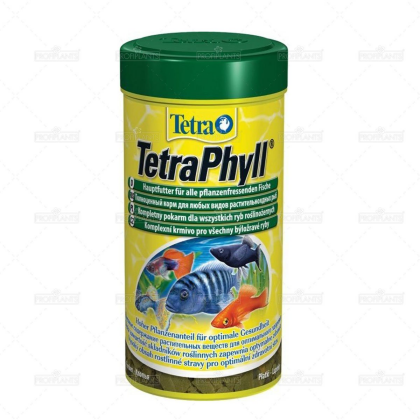 Tetra Phyll