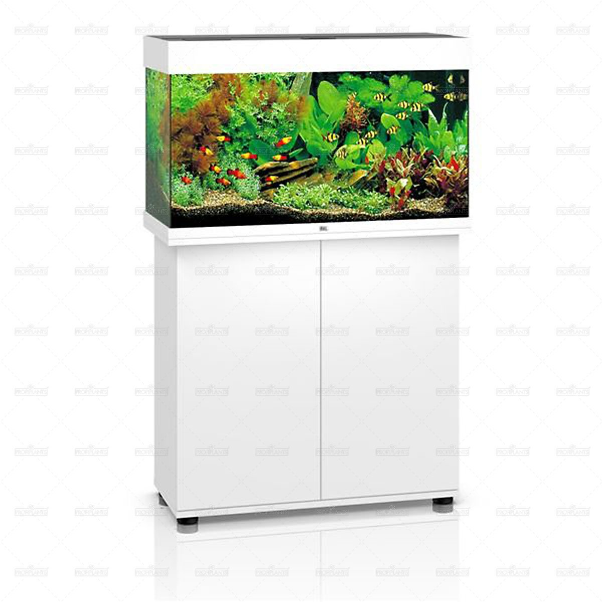 Juwel Rio 125 LED akvarijní set bílý | Profiplants.cz