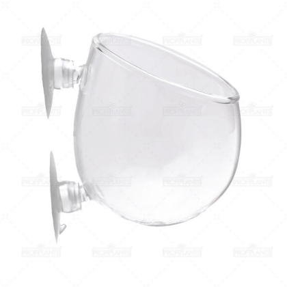 Skleněný květináček POLKA crystal se dvěmi přísavkami - střední