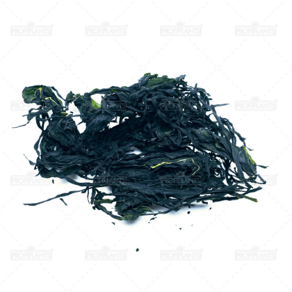 EasyFish WAKAME mořská řasa 20g
