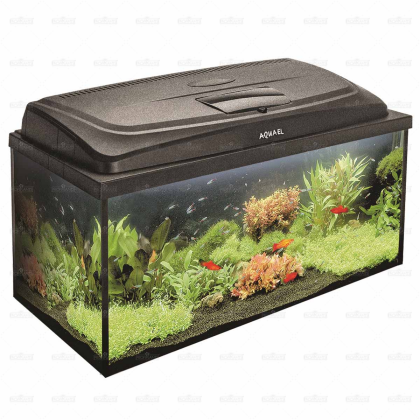 Aquael Classic Box 80 Set akvárium s osvětlením