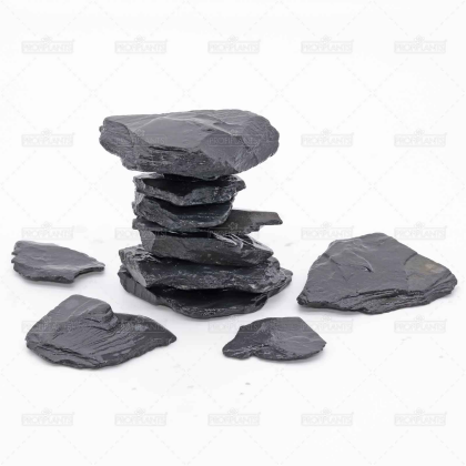 Profiplants Riccia stone dekorační kameny - 500 g