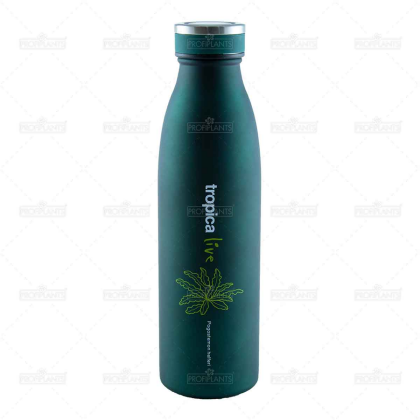 Tropica Live termoska na vodu Pogostemon helferi