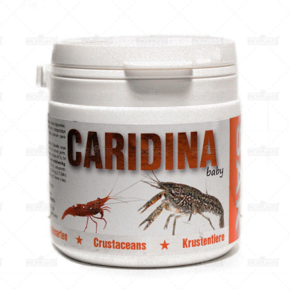 SAK Caridina baby 150ml
