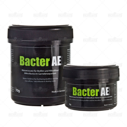GlasGarten Bacter AE