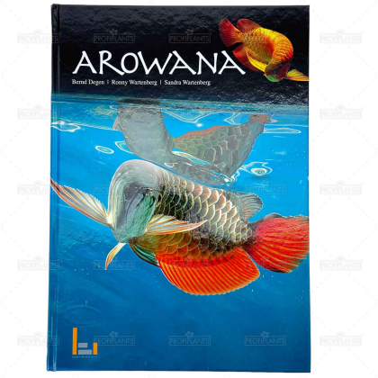 BeDe Arowana (německy)