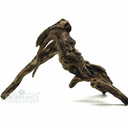 Kořen Black Slim Wood S 15-25 cm