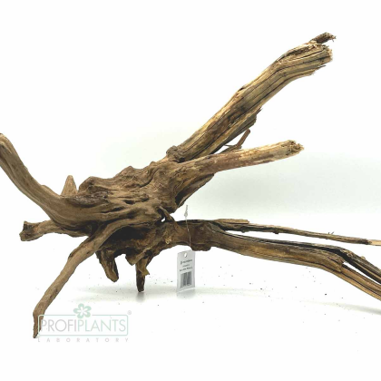 Kořen Black Slim Wood L 45-60 cm