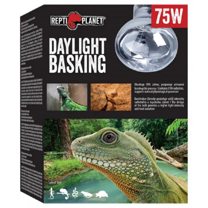 Žárovka REPTI PLANET Daylight Basking Spot 75W