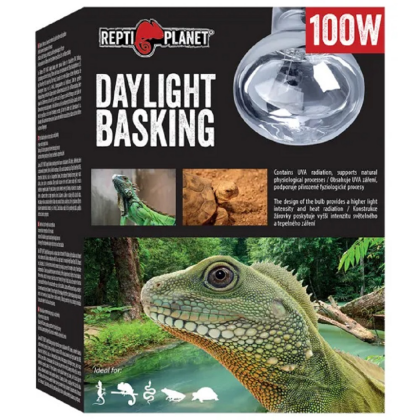 Žárovka REPTI PLANET Daylight Basking Spot 100W