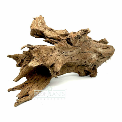 Kořen Mangrove L 35-60 cm