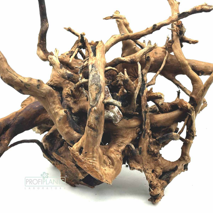 Red Moor Wood XL