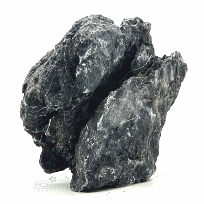 Seiryu Stone Dark Premium L