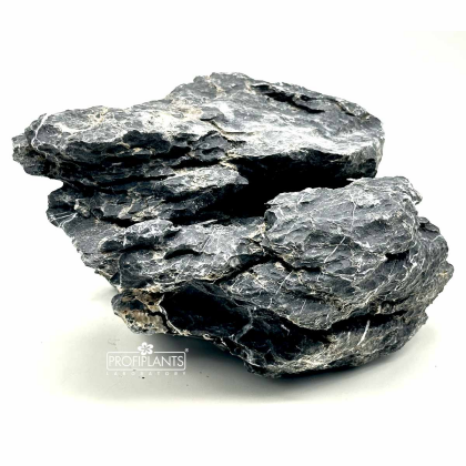 Seiryu Stone Dark Premium M