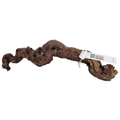 Wio Kořen Centurion Wood S