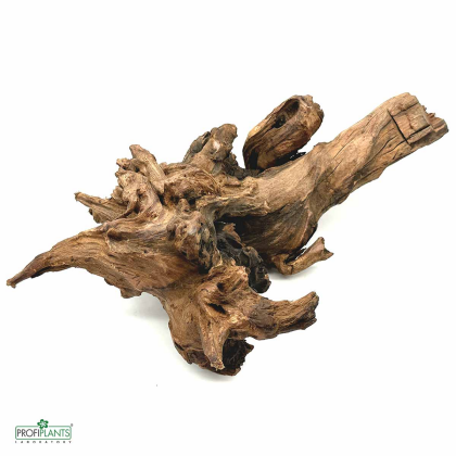 Desert Driftwood M