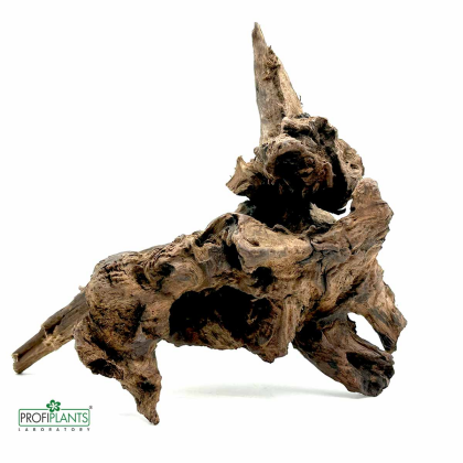 Desert Driftwood S