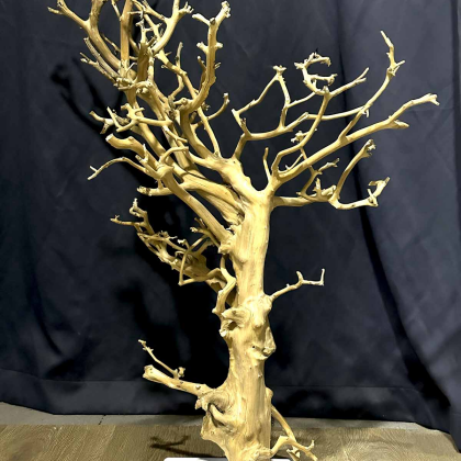 Wood Bonsai XL (ID 0501)
