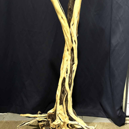 Kořen Heavy Wood XL (ID 1022)