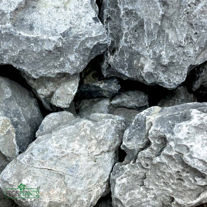 Seiryu Stone Set 20kg
