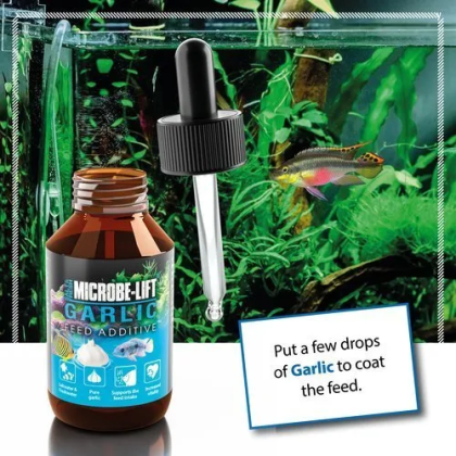 Microbe-Lift Garlic 100ml
