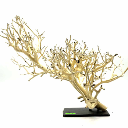 Korálová Bonsai L (ID 0505)