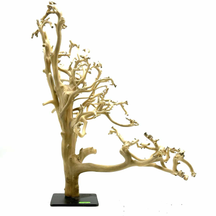 Wood Bonsai M (ID 0503)