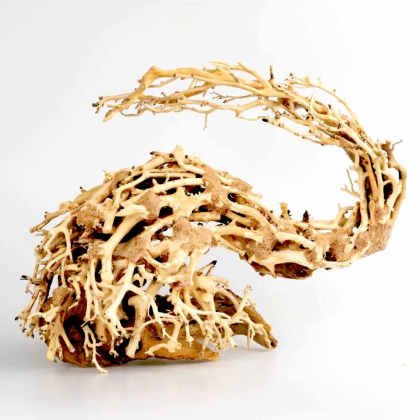 Dragon Bonsai M