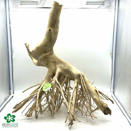 Kořen Heavy Root L (ID 3101)