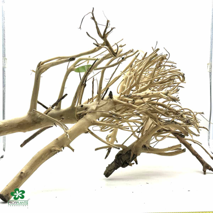 Kořen Heavy Root L (ID 3103)