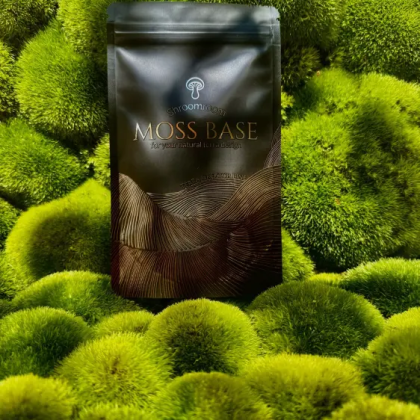 Shroomroom MossBase 40g