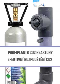 Profiplants