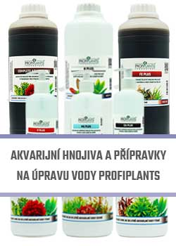 Profiplants